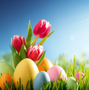 Ostereier und Tulpe auf Wiese